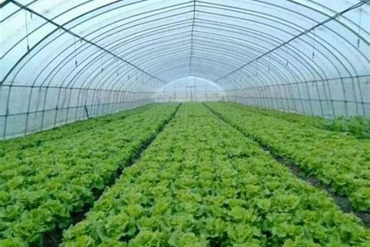 农业机械化的难点在哪儿？