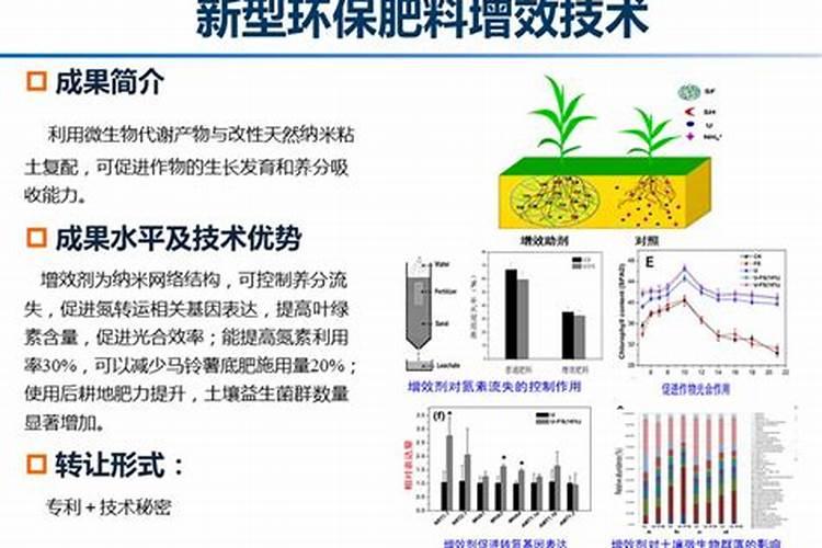 对节白蜡盆景如何施肥