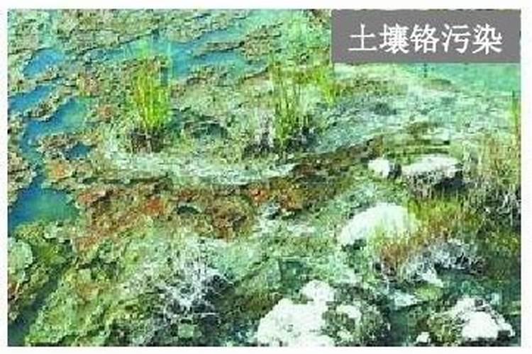 肥料中为何检测出铊