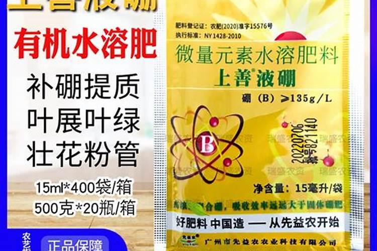 杨梅树什么时候施肥,杨梅树如何施肥