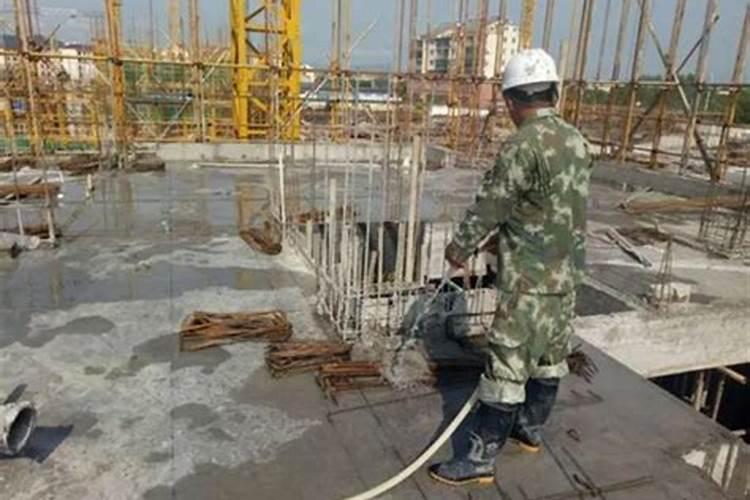 苋菜长种子把种子掐点还能长吗？