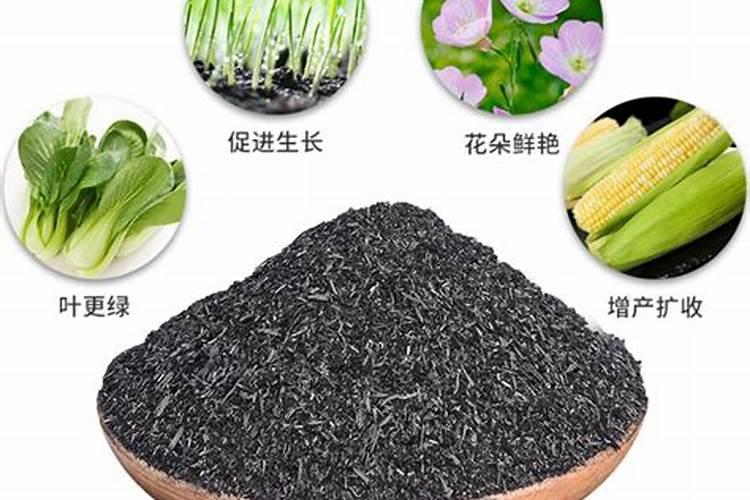 稻壳灰在种蔬菜中的用途