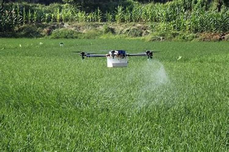 水溶肥料有哪些种类 水溶肥选哪种剂型好