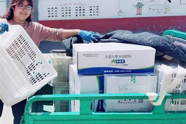 如何加快水溶肥的溶解