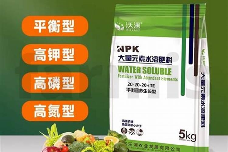 辣椒最佳育苗时间