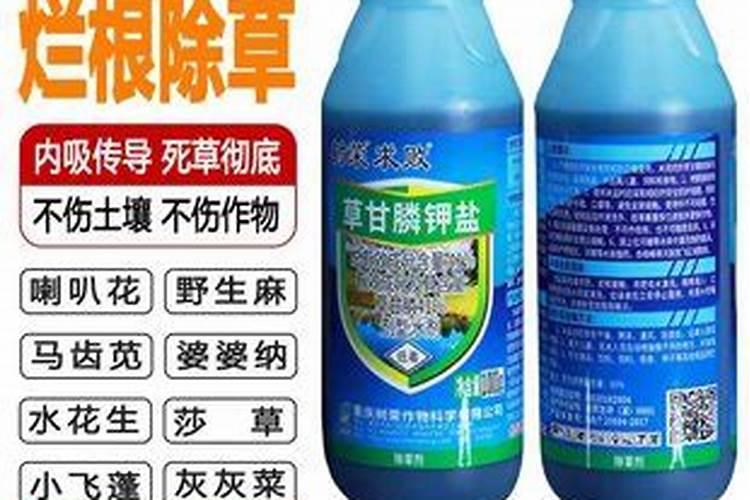 桉树砍伐成本大概多少？