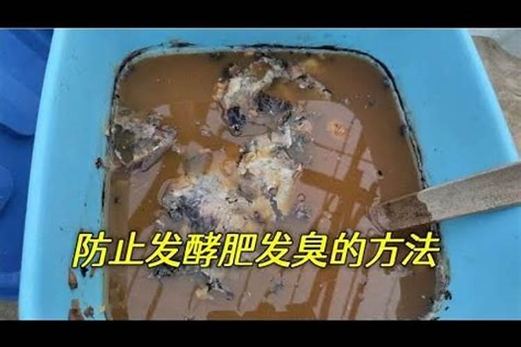 自制有机肥发臭生虫怎么办呢