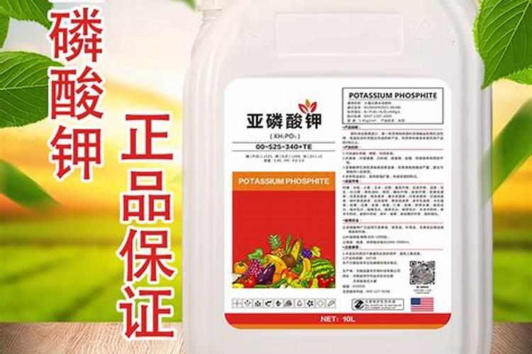 玉米喷施控旺剂能增产吗？能不能和杀虫杀菌剂、叶面肥混用？