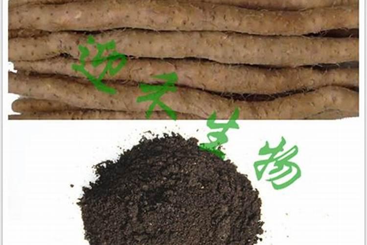 根茎类药材硼肥每亩最佳使用是多少斤