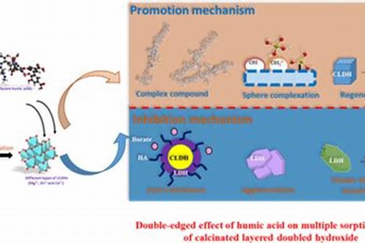 腐殖酸在碱溶液的溶解度