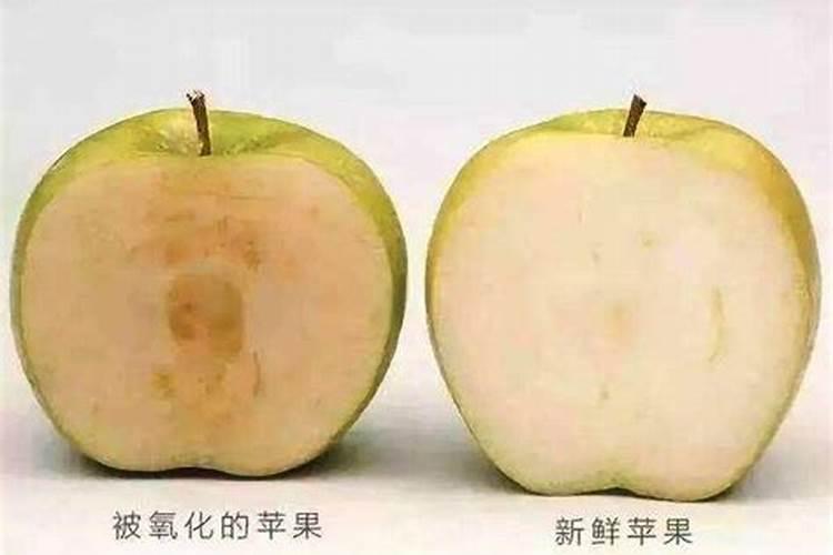 苹果树硼中毒怎么办