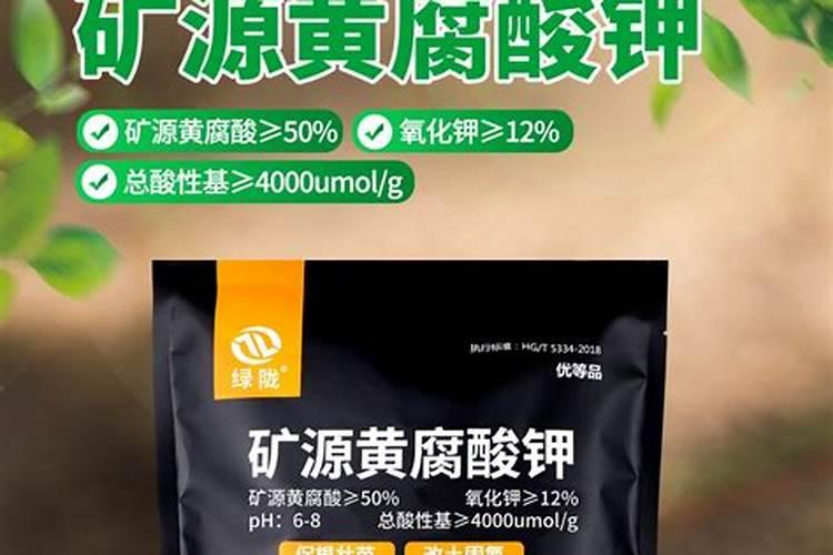 草莓结果期用什么肥