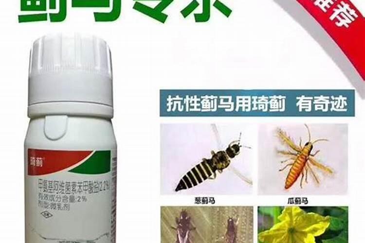 草莓施什么肥料果大