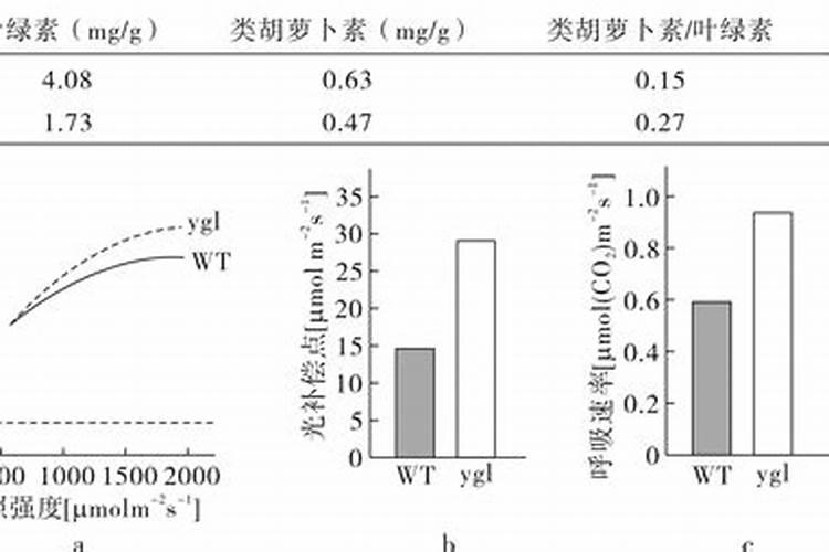 施肥过多光合作用速率降低的原因