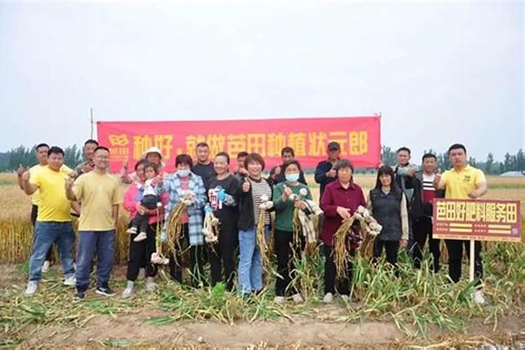 鲁化和芭田什么关系