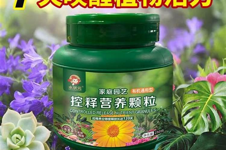 樱桃树花果期需要施肥吗？