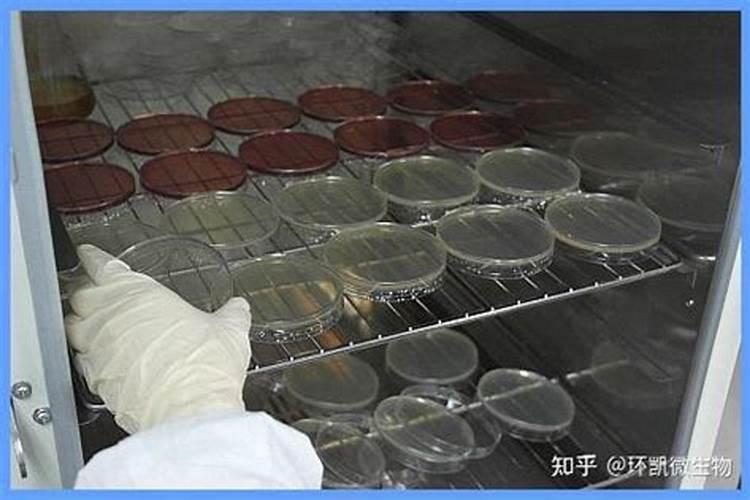 钾肥的简易鉴别方法 施用钾肥注意啥问题