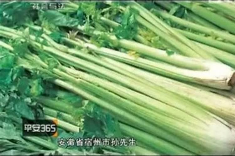 瓜果蔬菜等经济作物用海藻多酚水溶肥后会是什么样