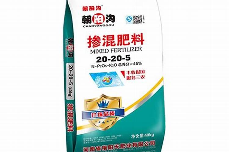 红日阿康艳阳天