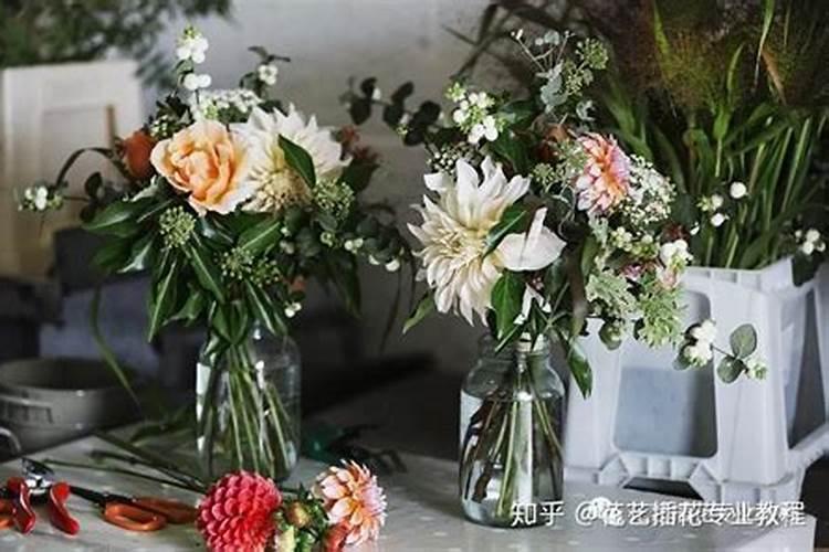 啤酒浇花的正确方法