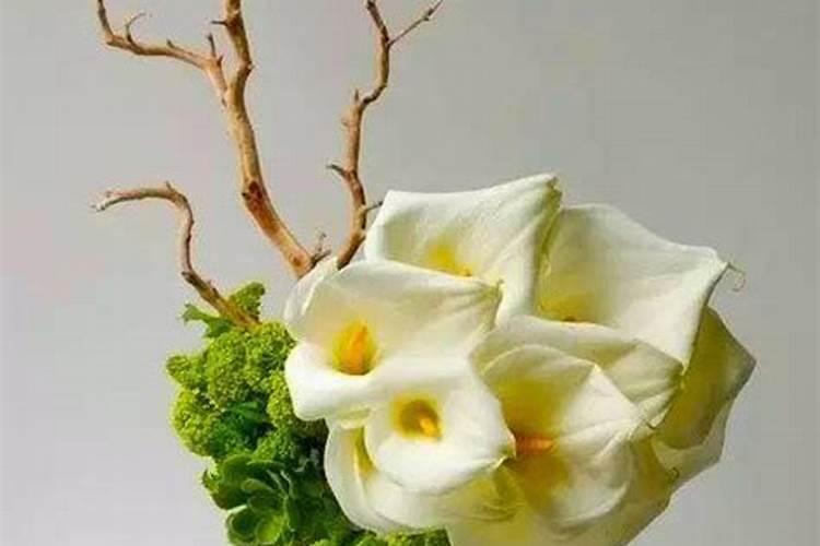 郁金香插花养护方法