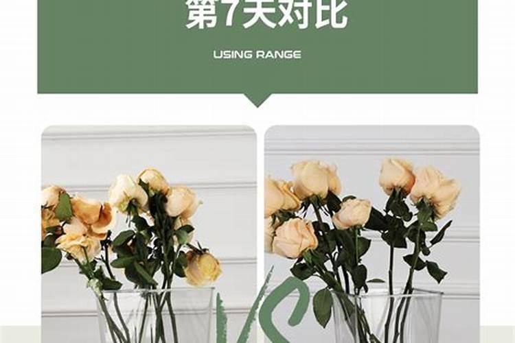 营养液的正确使用方法浇花