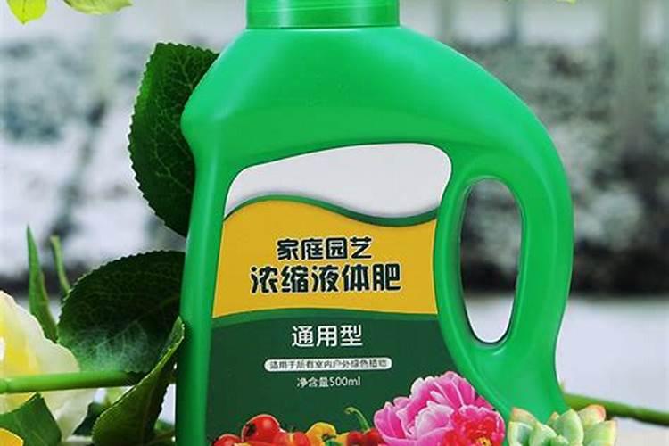 刚种的月季花刚出芽能浇营养液吗？