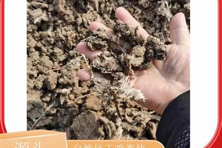 黑黝劲20公斤水溶肥多少钱一吨