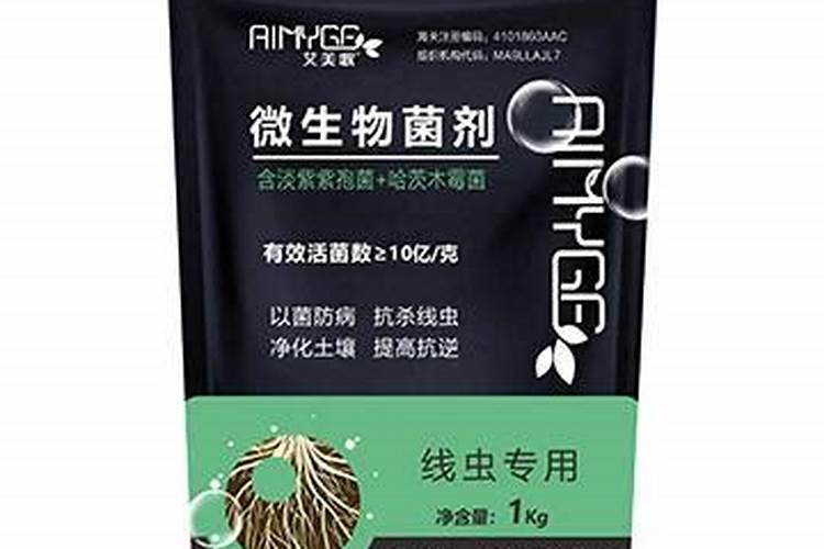 艾美表如何分辨真假 艾美表怎么辨别真伪