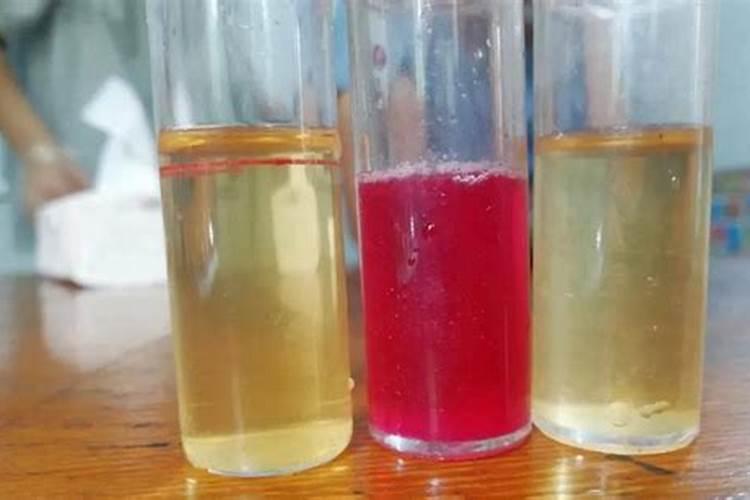 春天正在施肥不要买氮磷钾肥你可以自己在家做!