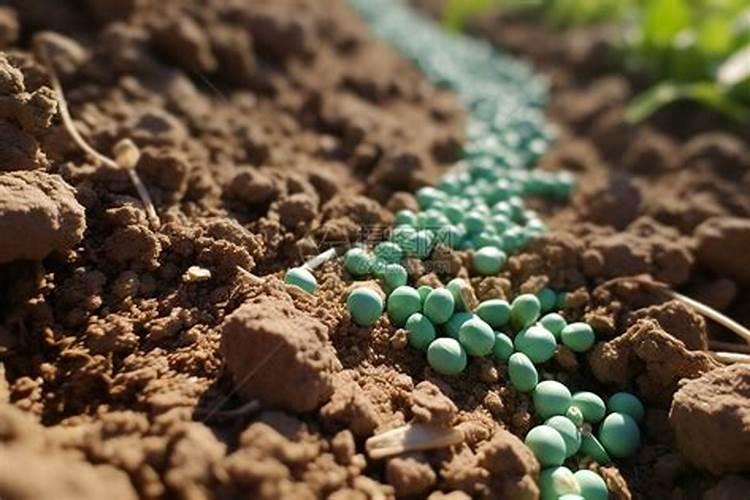 进口复合肥十大名牌