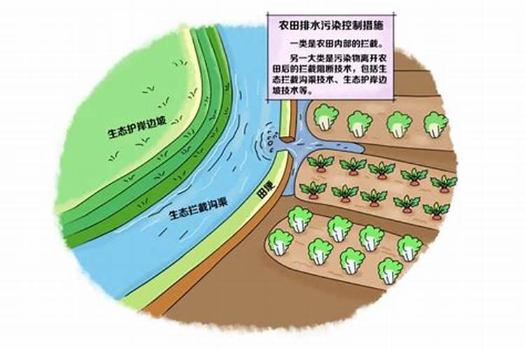 冲施肥会和水一块流失吗