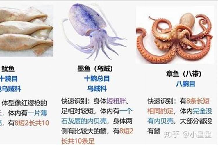 野生甲鱼的辨别方法与营养功效