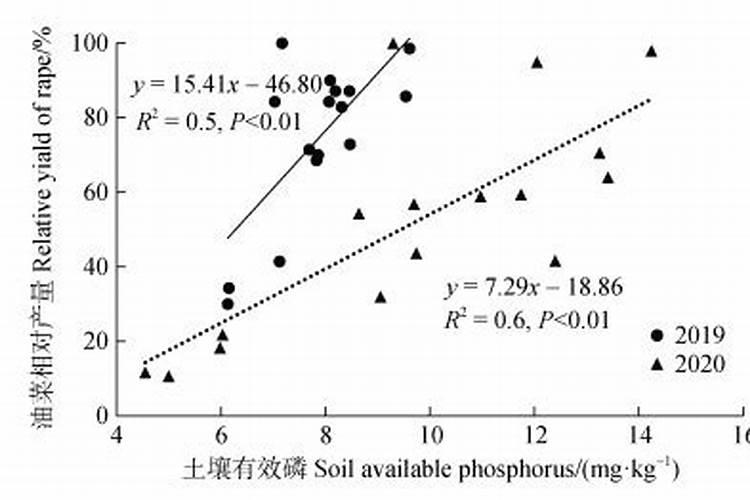 花卉开花需要什么肥料