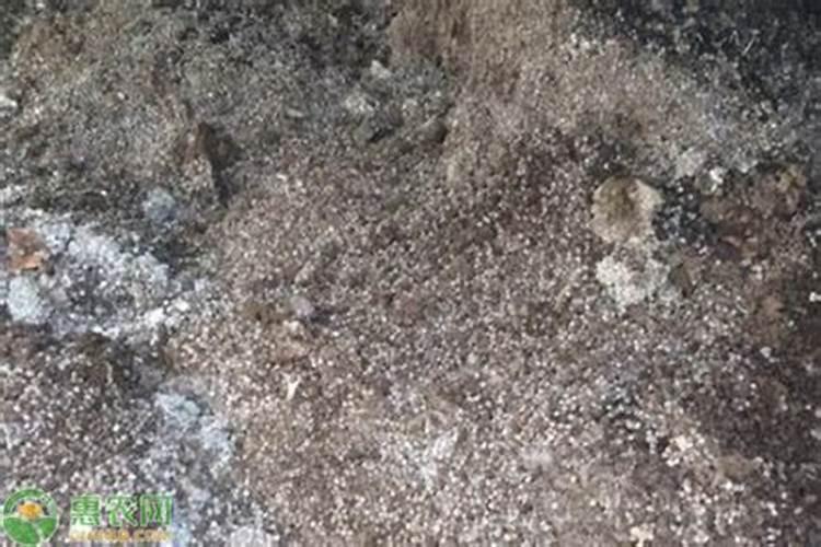 兔子的粪便可以做肥料吗