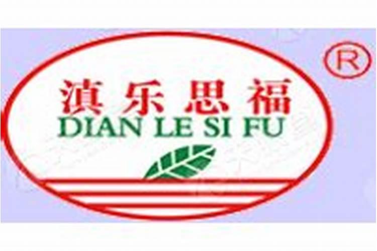 通海紫皮洋葱种的培育