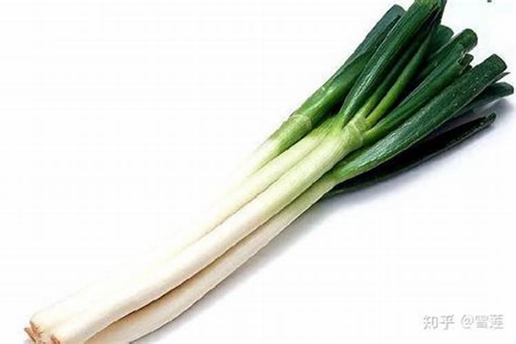 大葱用哪种水溶肥长势好？大葱专用增产叶面肥料？