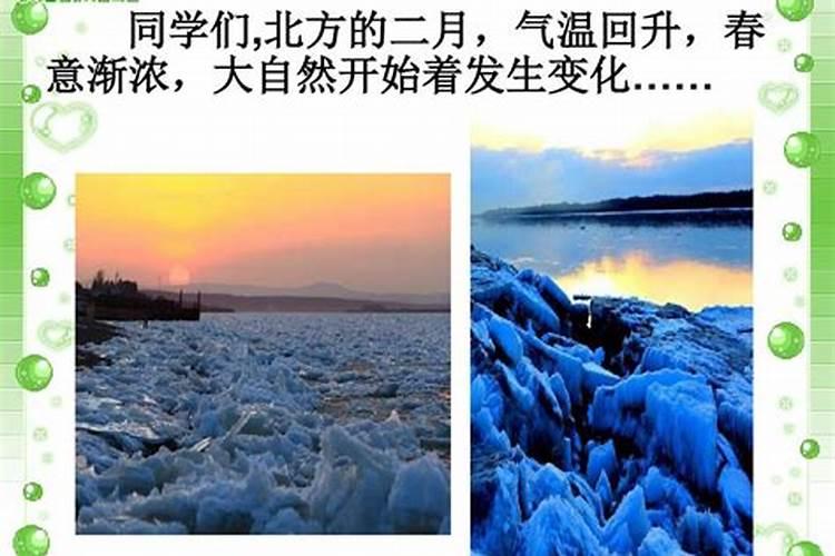 草木灰施肥有什么作用