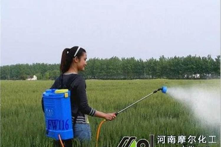 辣椒收获期叶面喷施氮肥可以吗,比例是多少？