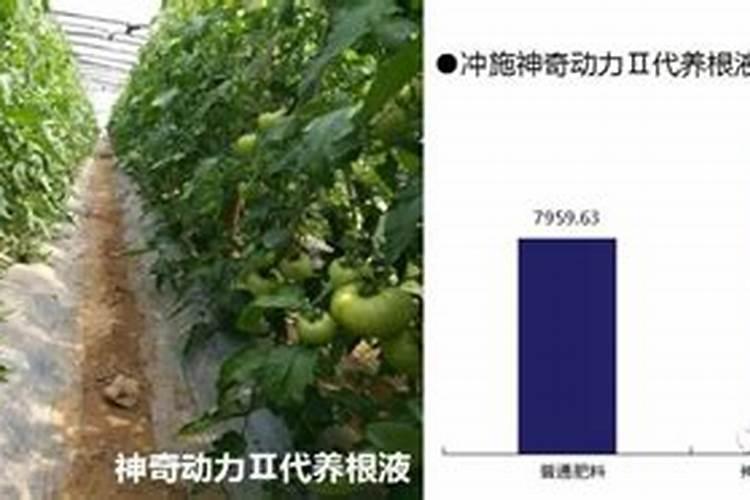 水溶肥最好的三个牌子