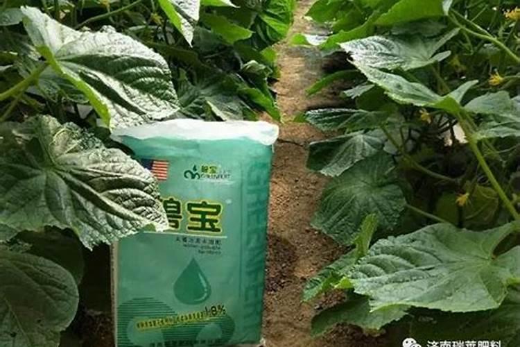 进口十大水溶肥品牌