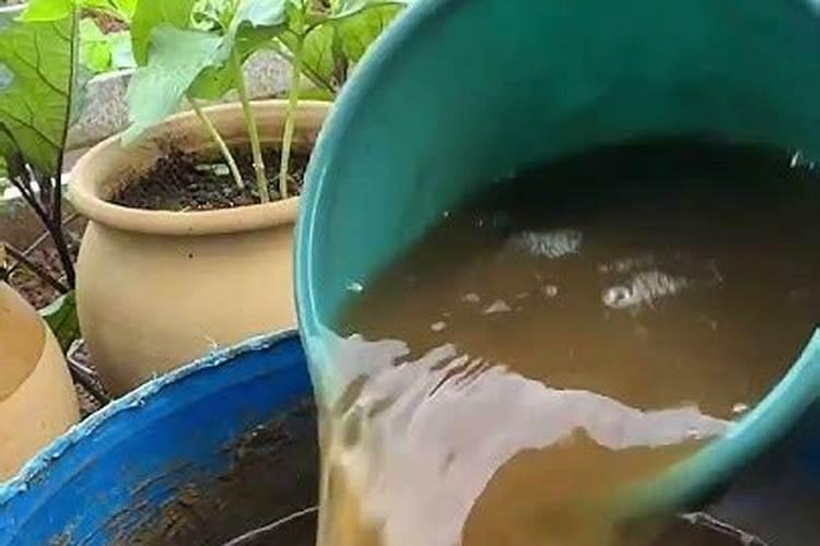 有机肥问题,如图上的产品,这个有机肥是真的吗？ 好吗？