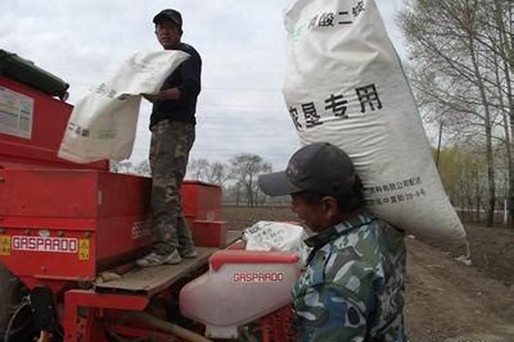 花椒在四月份的肥料用尿素钙镁磷肥氯化钾混合比例应该是怎么样