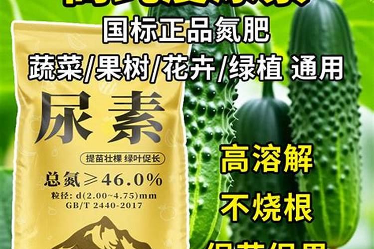 尿素浇菜最佳方法