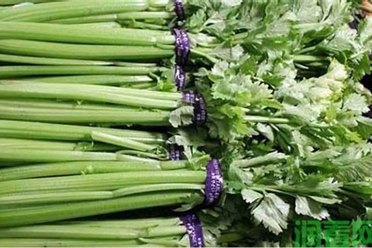 喷什么叶面肥芹菜长得快