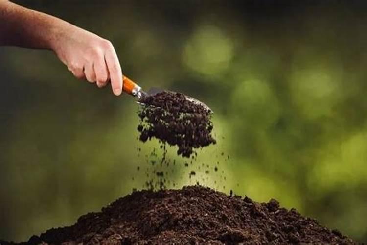 什么叫有有机肥哪里有卖有机肥的