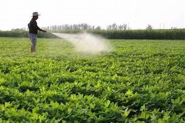 有解药害功效的叶面肥可以混合农药用吗？