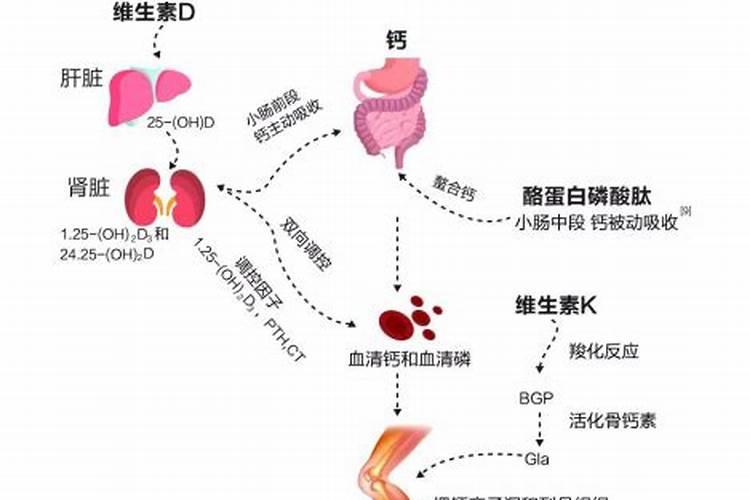 钙肥的特点？正确的补钙方法？果树补钙用什么叶面肥？