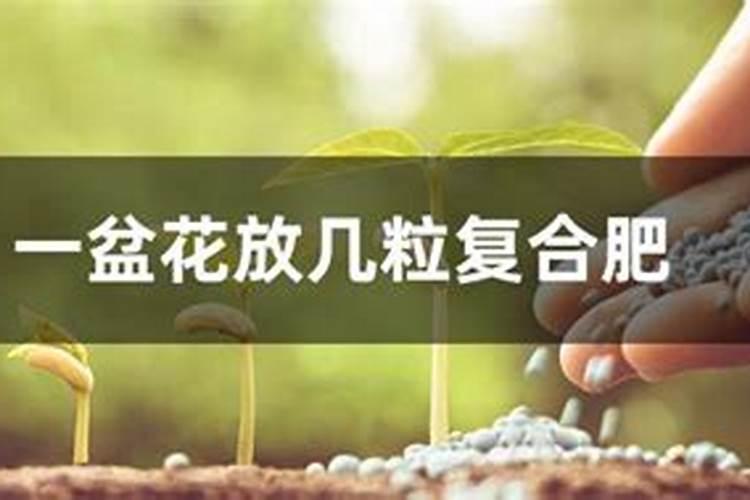 西瓜结果后多久施一次肥