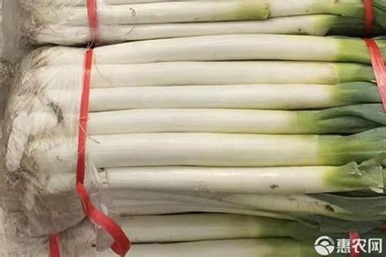 大葱用什么水溶肥效果好？大葱专用肥是什么肥料？